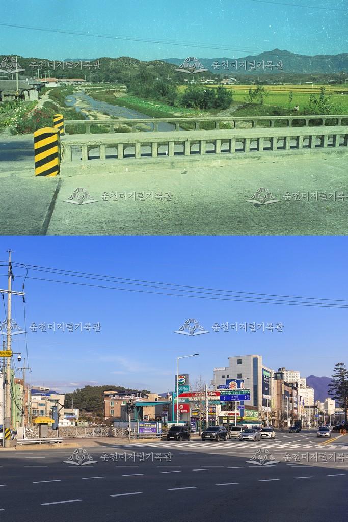 거두리 비교 사진 이미지