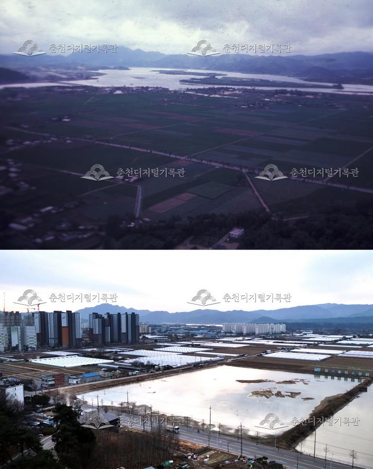 우두동 비교 사진 이미지