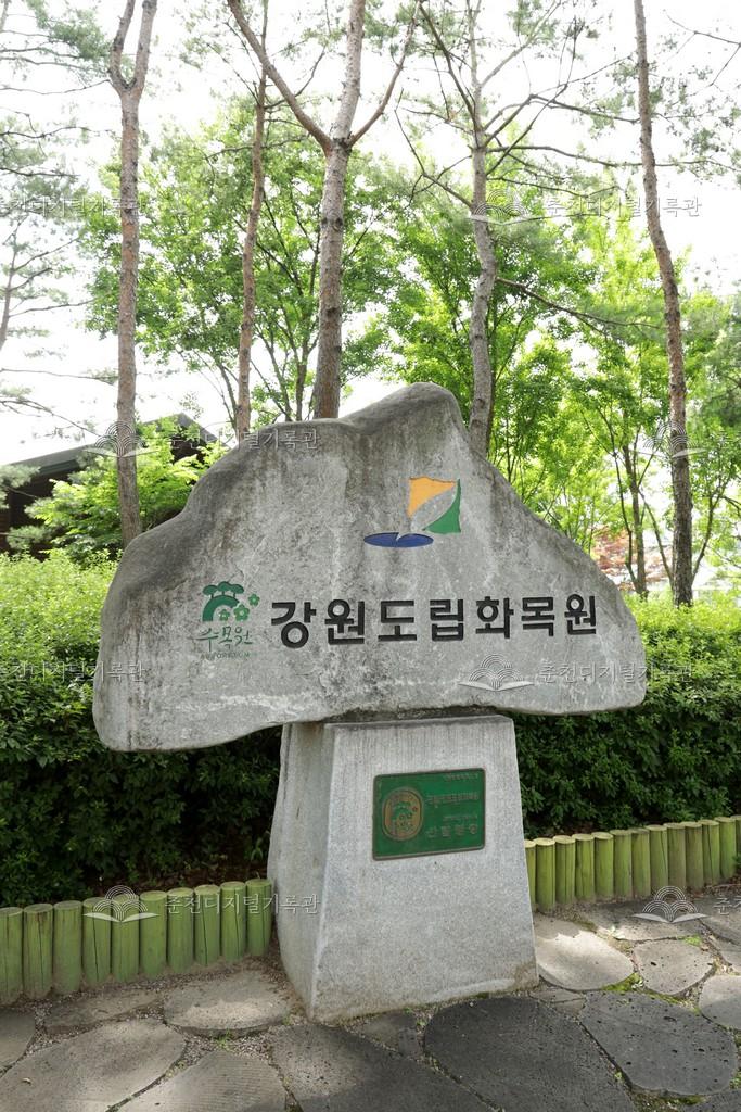 강원도립화목원 이미지