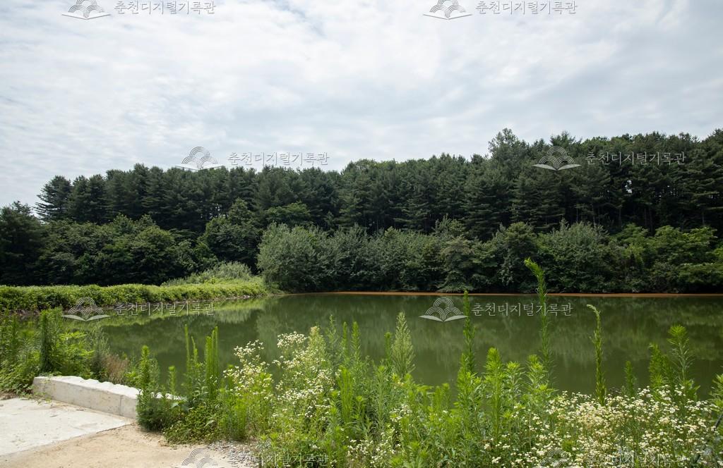 지내리 지둔지소류지 이미지