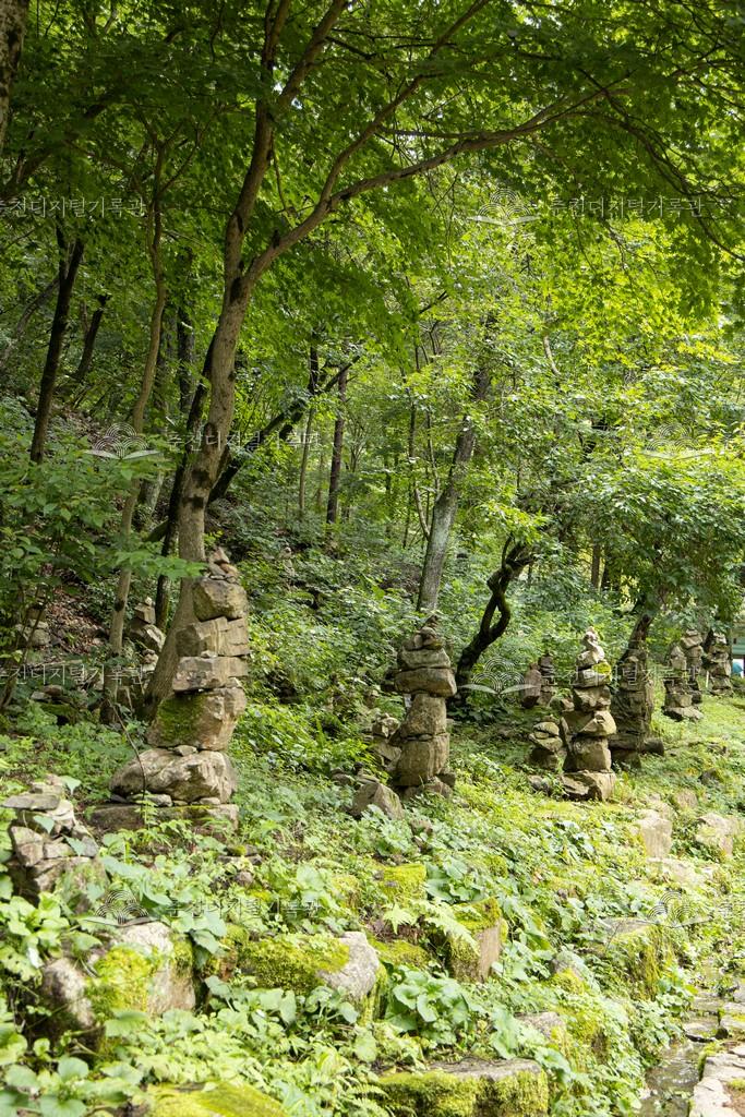 구곡폭포 돌탑길 이미지