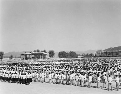 송요찬 내각 춘천 시찰 사진 이미지