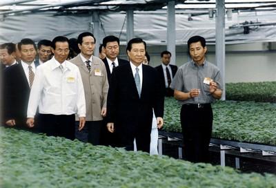 김대중 전 대통령 호반육묘장 시찰 사진 이미지