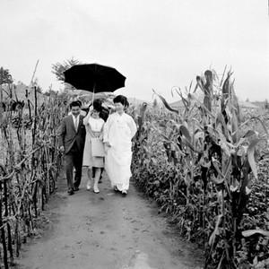 육영수 여사 춘천지구 파월 병사 가족 방문 사진 이미지