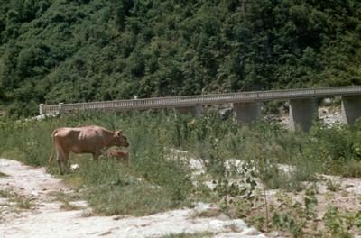 춘천 가는 길 풍경 사진 이미지