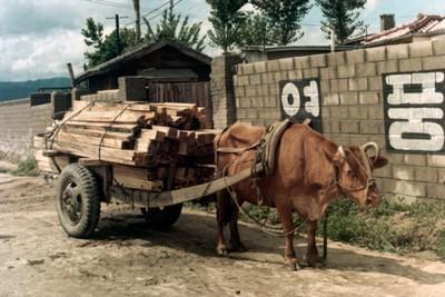 춘천 시내 풍경 사진 이미지