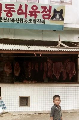 춘천 시내 풍경 사진 이미지