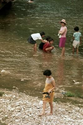 강촌리 하천가 사진 이미지