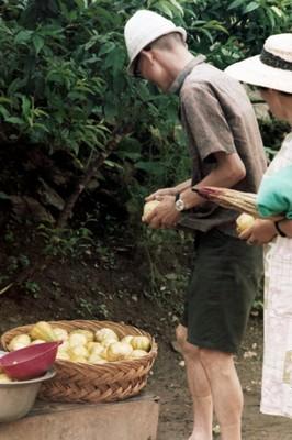강촌리 계곡 인근 사진 이미지