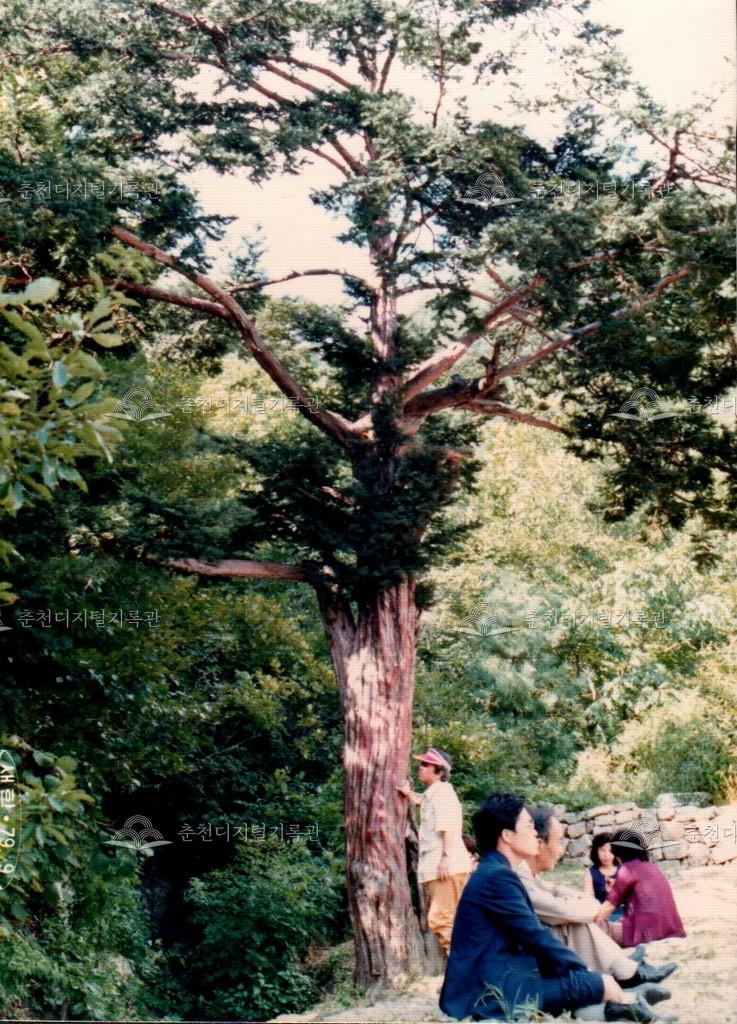 청평사 사진 이미지