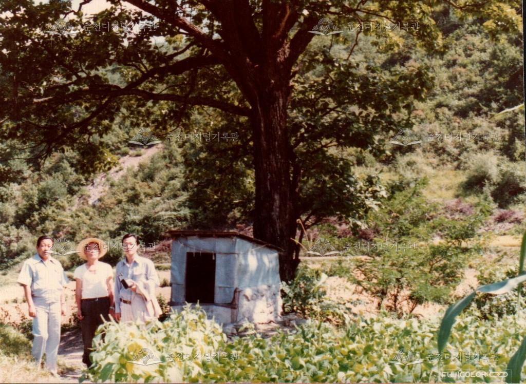 동산면 밭치리 성황당 사진 이미지