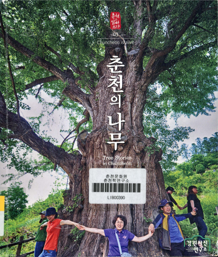 춘천의 나무 이미지