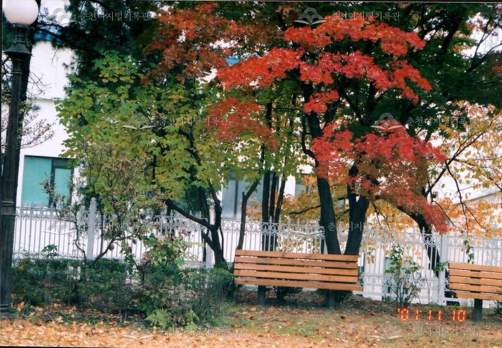 춘천문화원 외부 사진 이미지