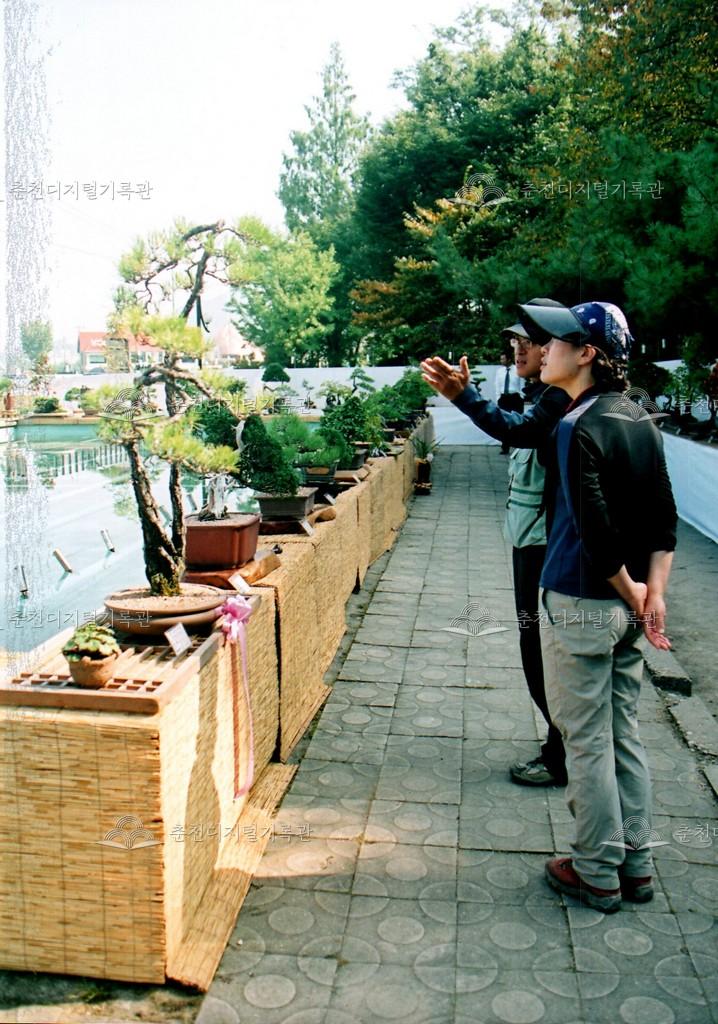 제28회 소양강문화제 분재전시회 사진 이미지