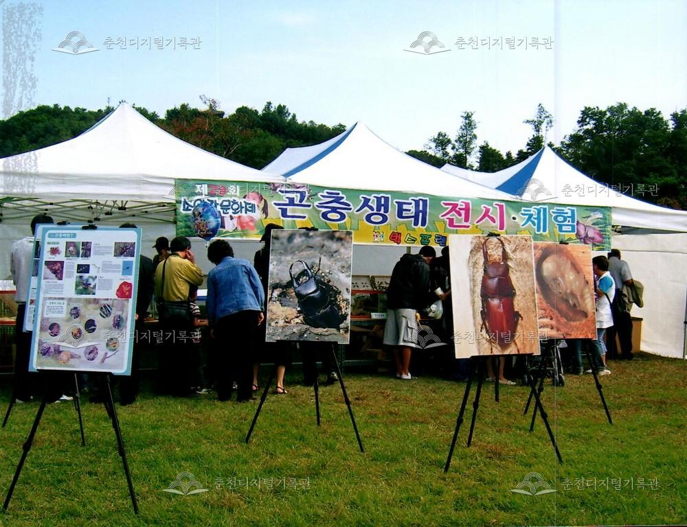 제29회 소양강문화제 체험장 사진 이미지