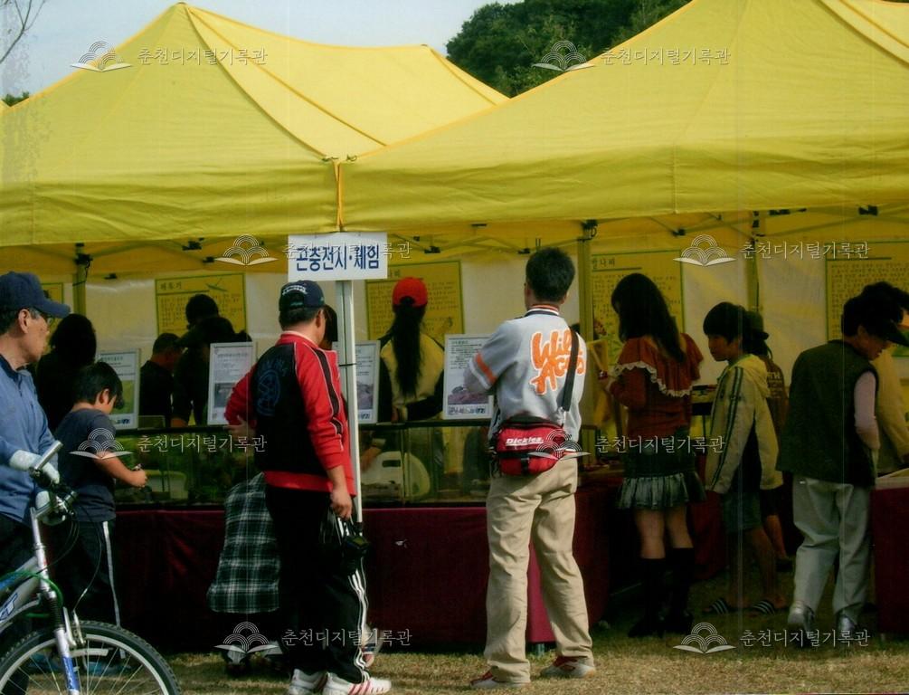 제30회 소양강문화제 체험장 사진 이미지