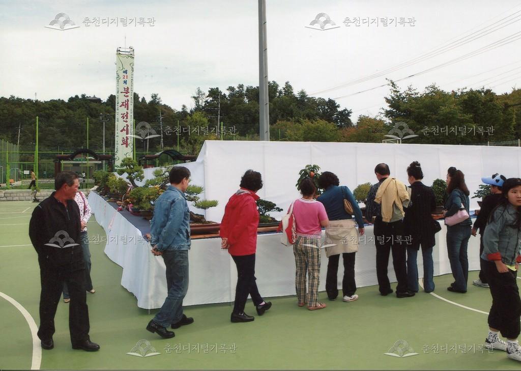 제30회 소양강문화제 분재전시회 사진 이미지