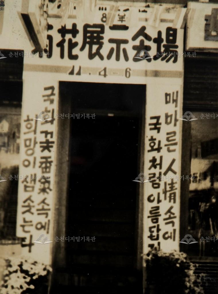 1960년대 국화 전시회 사진 이미지