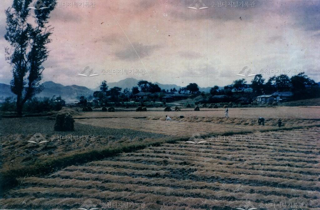 농촌 풍경 이미지