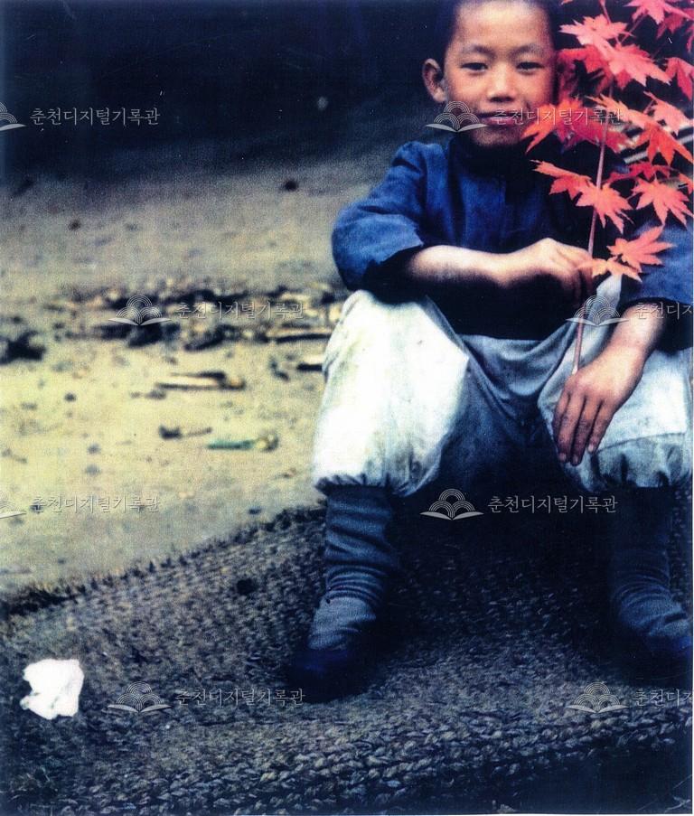 단풍잎을 든 소년 이미지