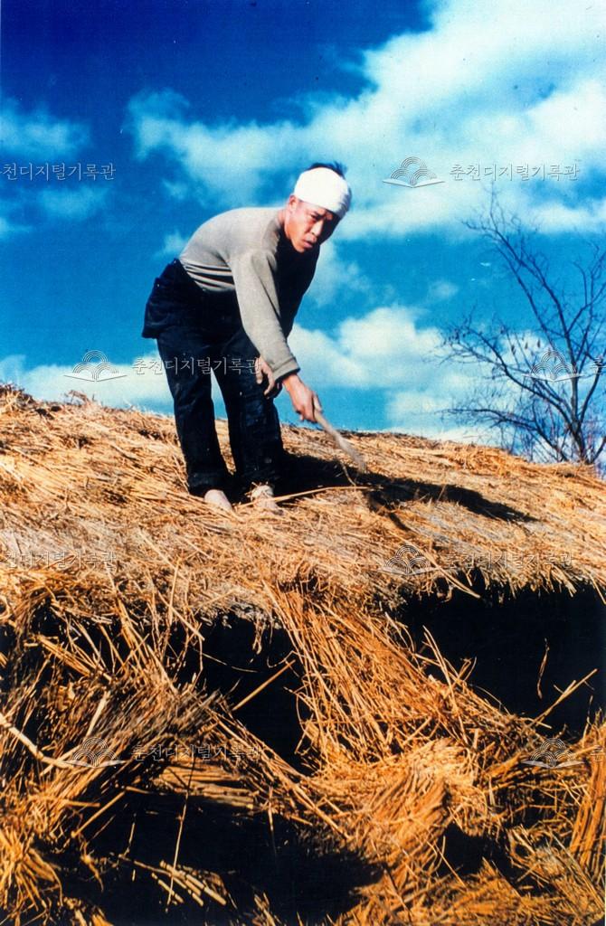 초가지붕 짚단 정리 이미지