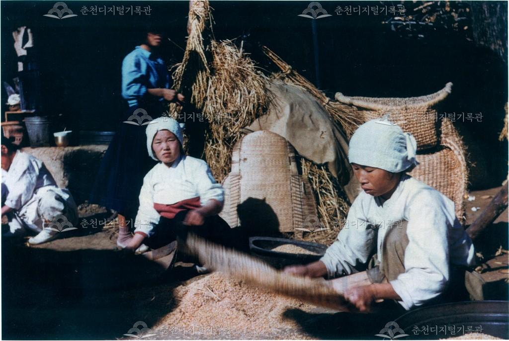 키질하는 아낙네 이미지