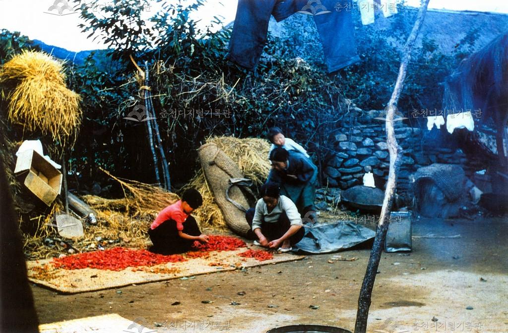 가을 고추 널기 이미지