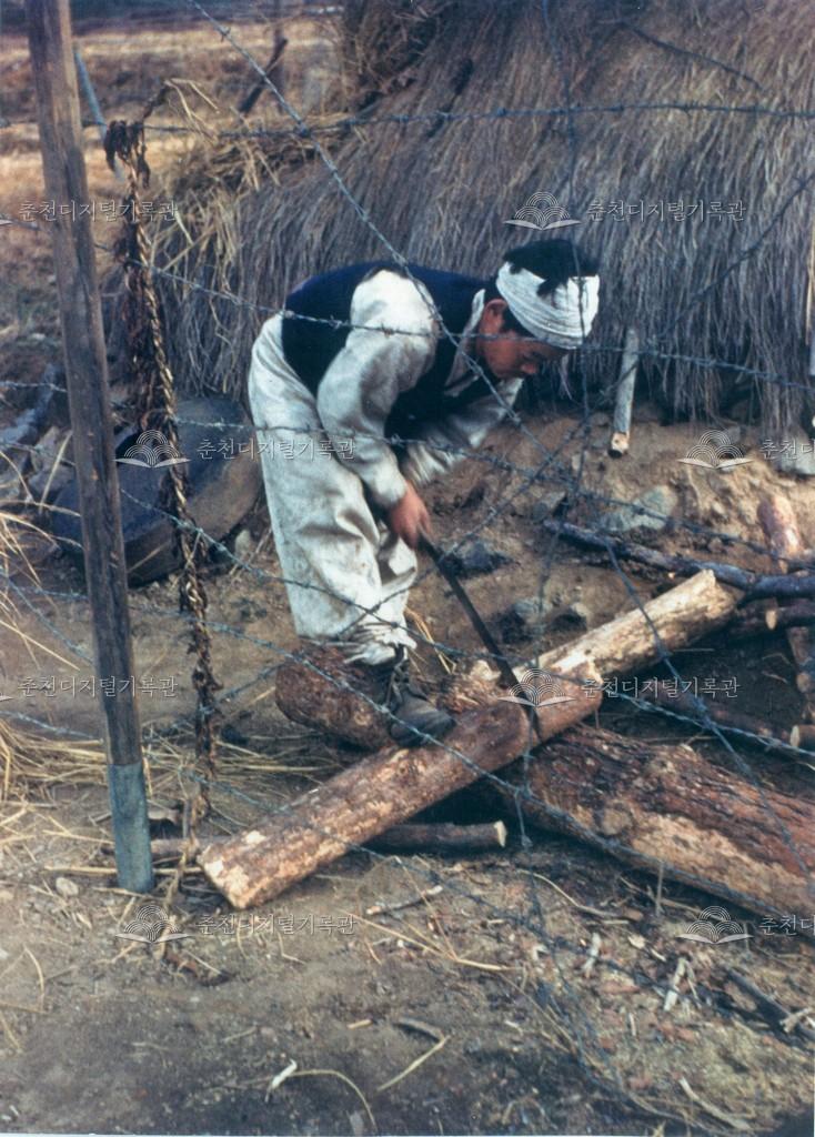 나무를 자르는 소년 이미지