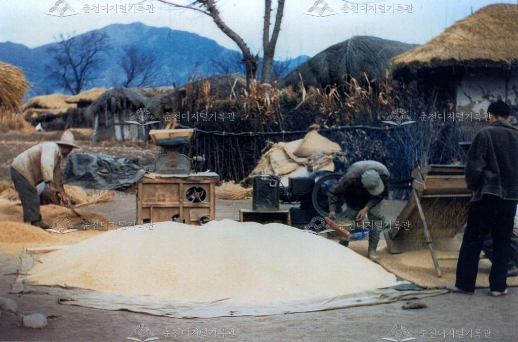 추수 후 벼를 말리는 마당 이미지