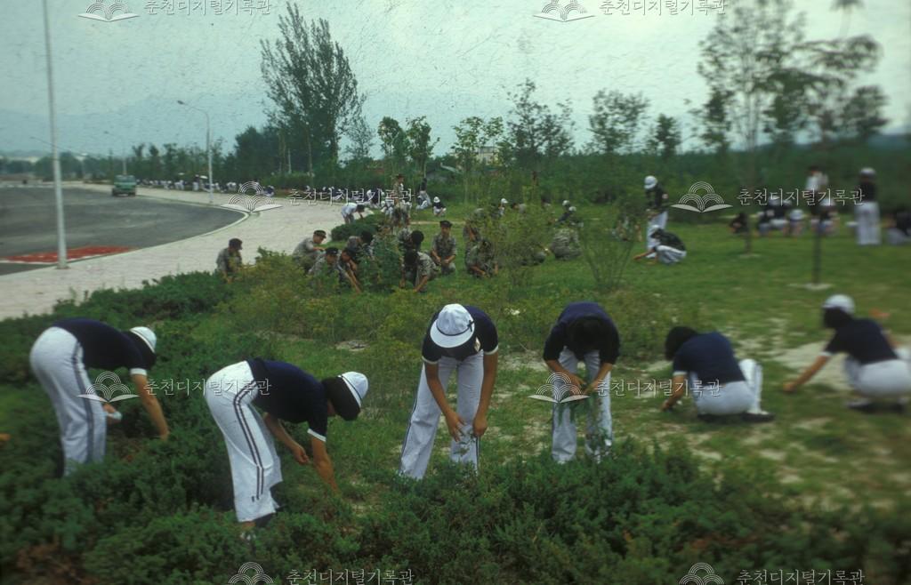 공지천 주변 환경 정비 활동 이미지