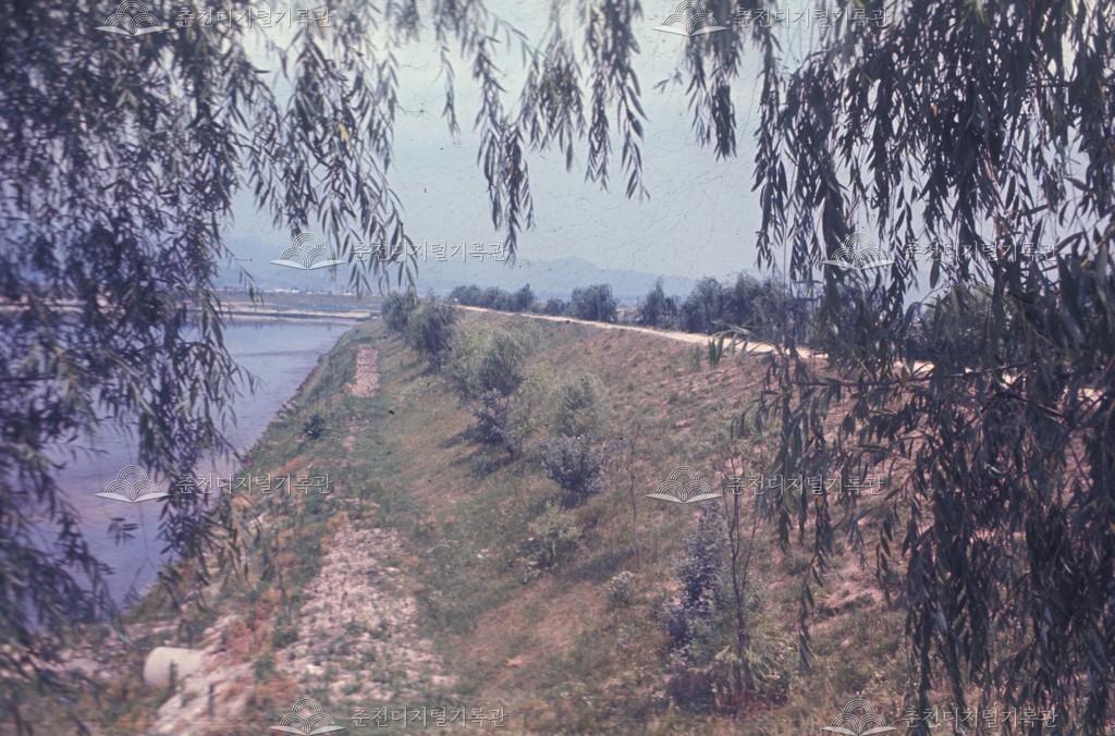 근화동 공지천 뚝방길 이미지