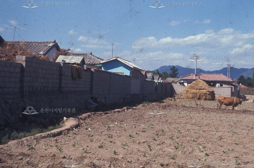 사농동 주택가 풍경 이미지