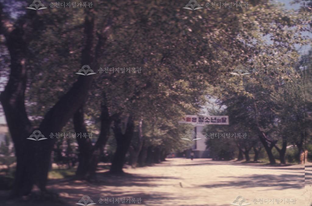 춘천교육대학교 입구 이미지