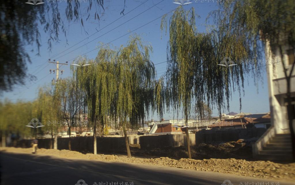 효자2동 도로 주택가 모습 이미지