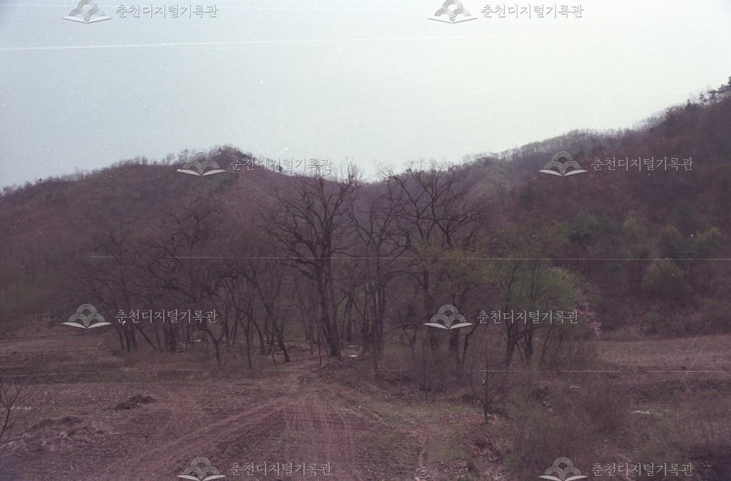 남면 가정리 재궁동 원시림 이미지