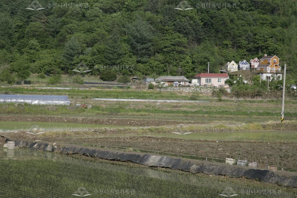 남산면 마을 전경 이미지