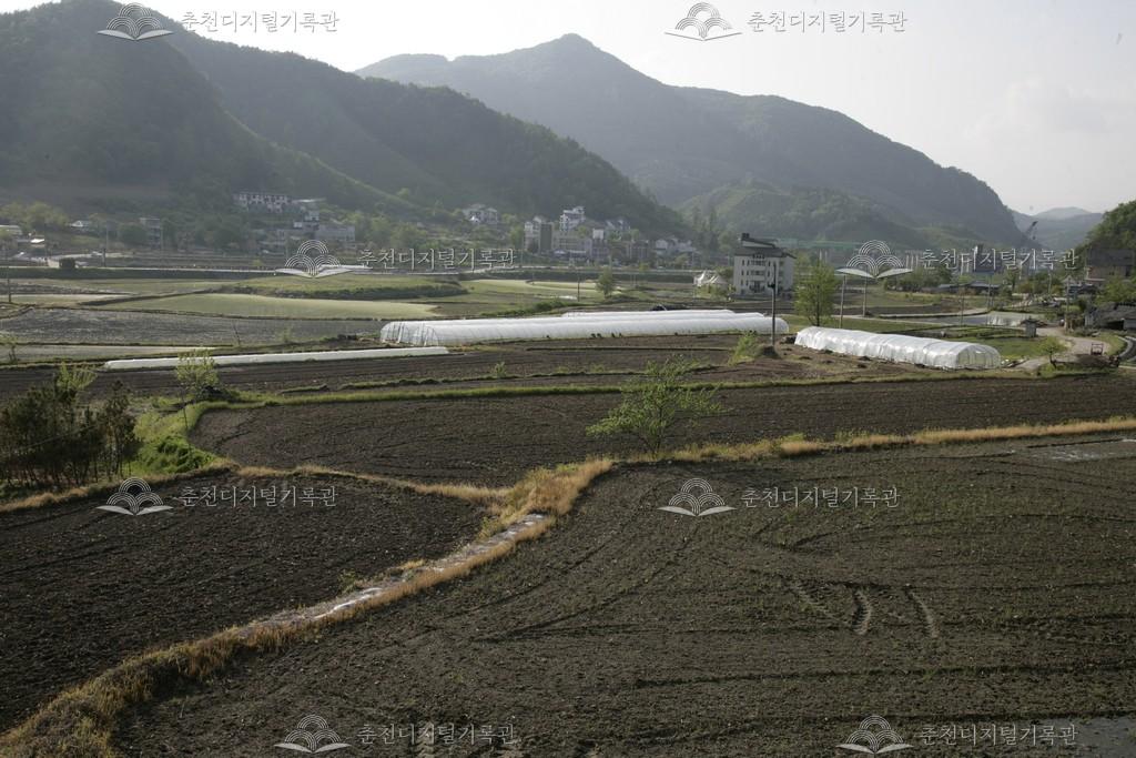 남산면 창촌리 펜션타운 이미지