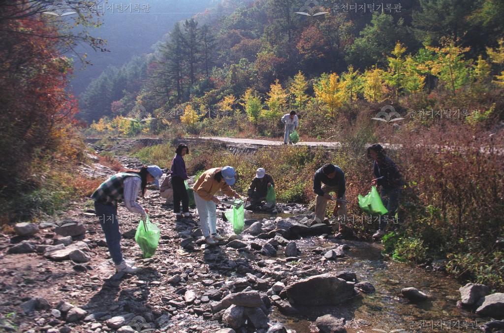 남산면 강촌리 자연보호 활동 이미지
