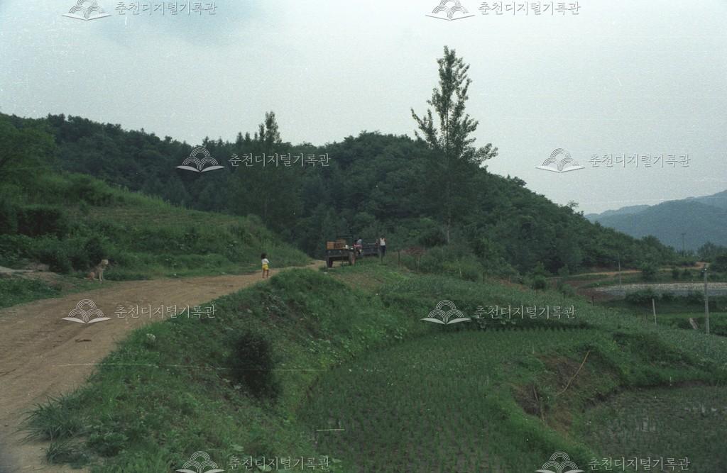 남산면 방하리 6.25 희생 추모비 공사 이전 이미지