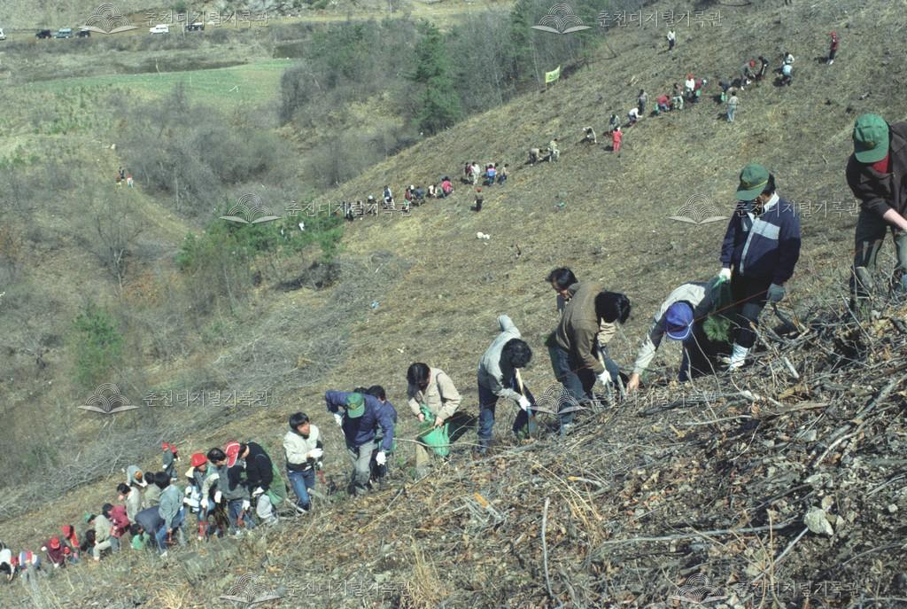 남산면 행촌리 식목일 행사 이미지