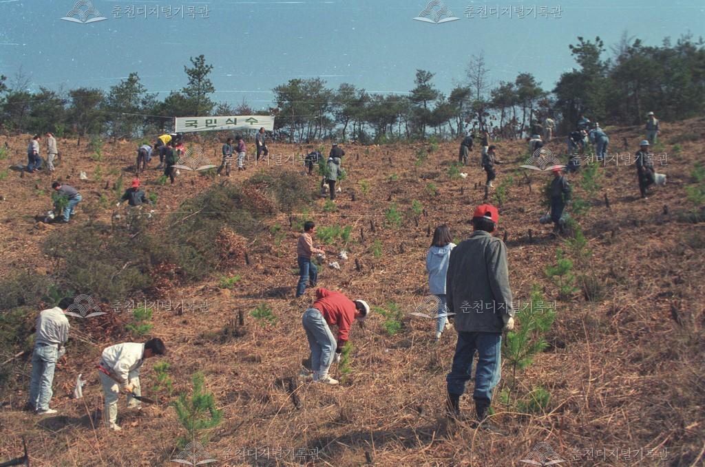동내면 식목일 행사 이미지