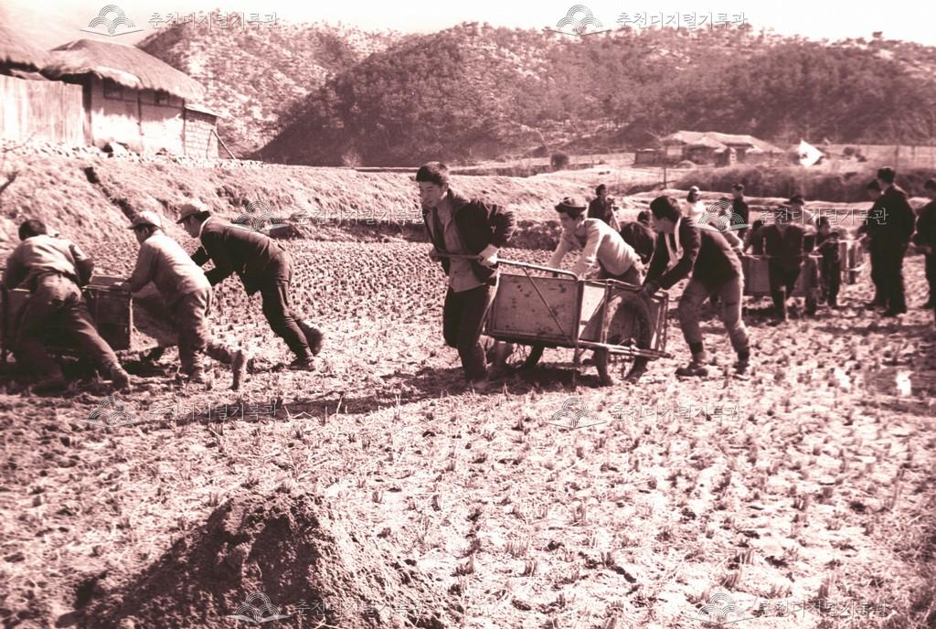 거두리 4H 사업 이미지