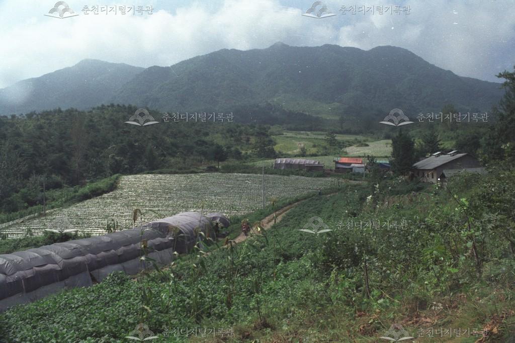 동내면 학곡리 전경 이미지