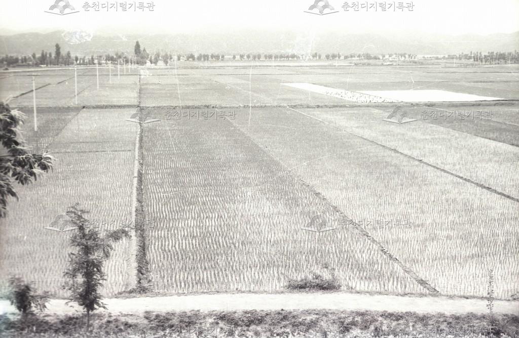 동면 경지정리 이미지