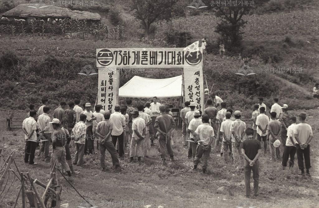 동면 하계 풀베기대회 이미지