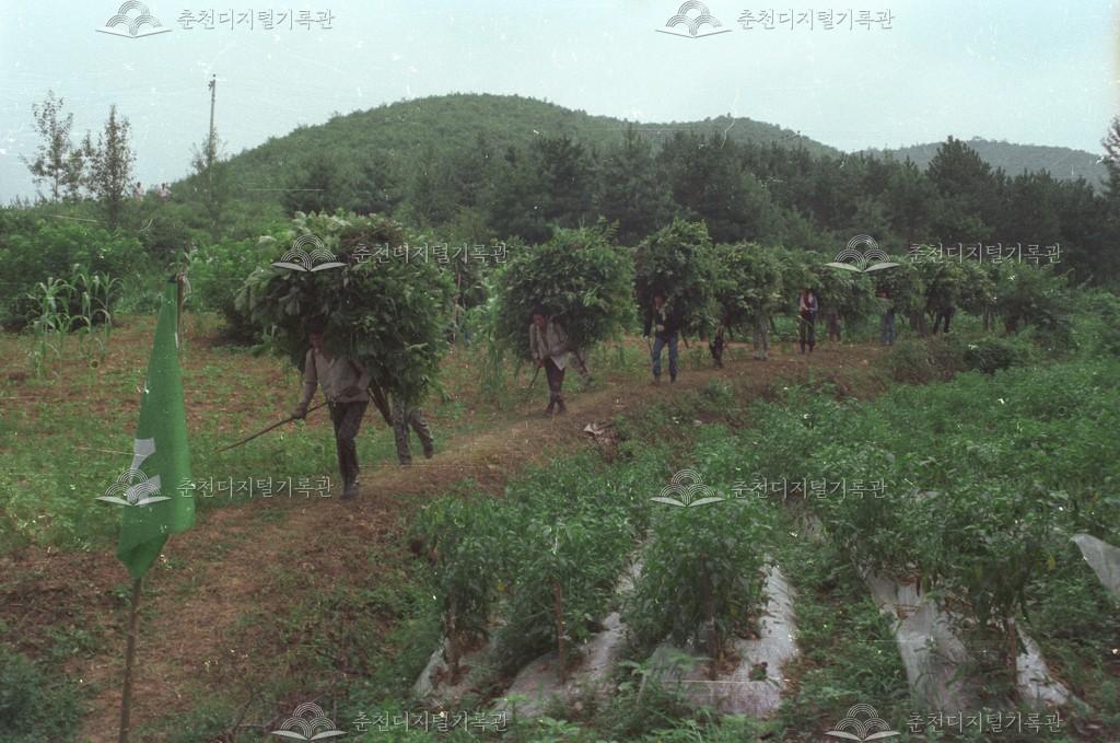 동면 퇴비증산 이미지