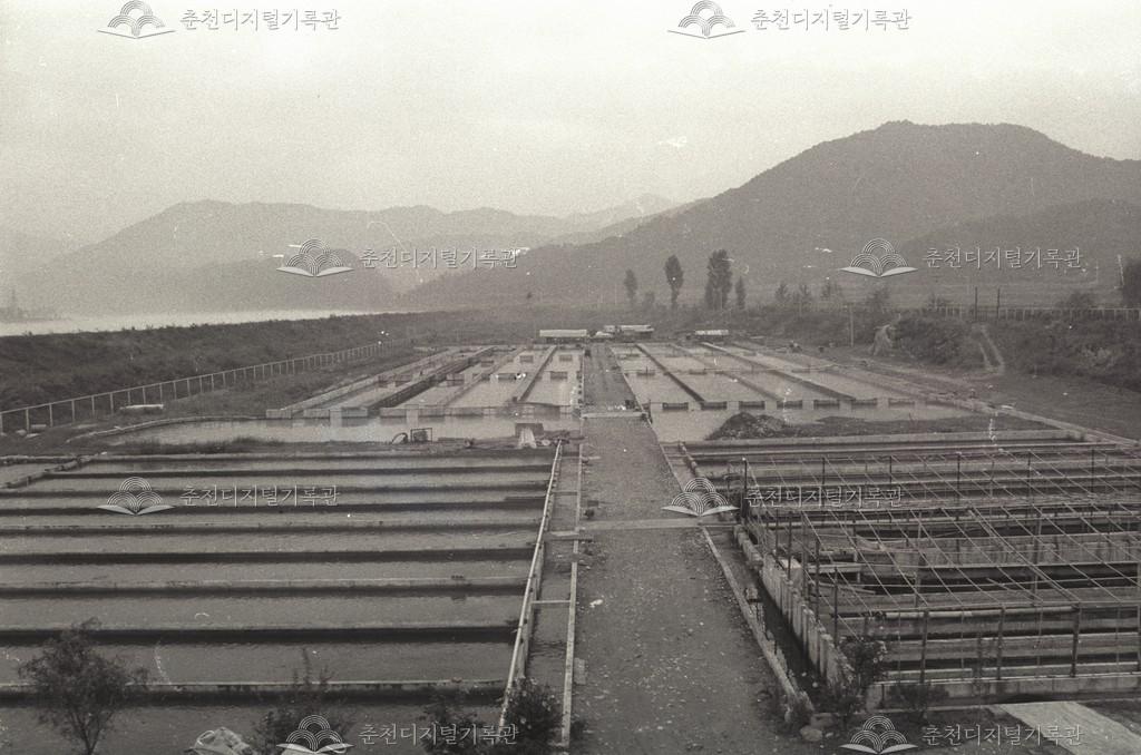 동면 지내리 송어양식장과 송어회 이미지