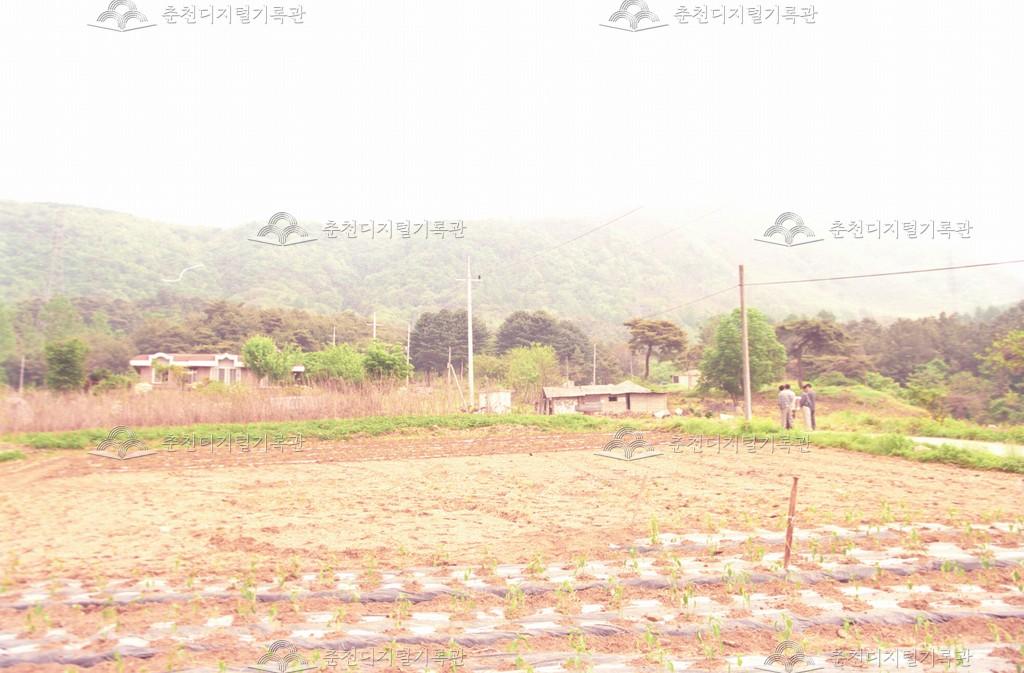 동면 풍경 이미지