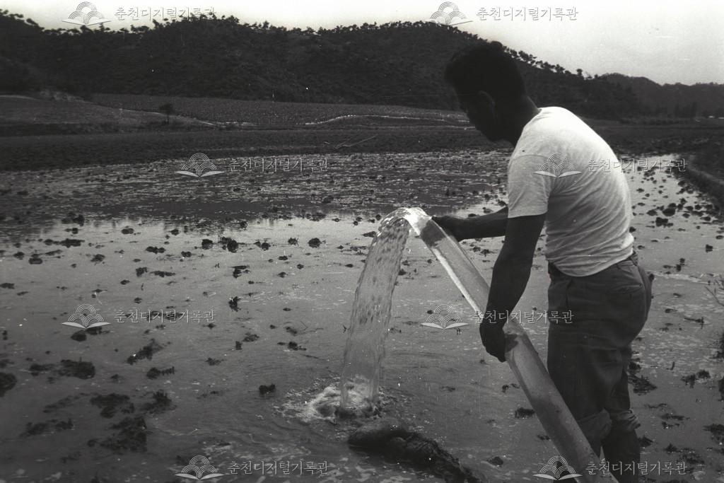 동면 지내리 양수기 설치 이미지