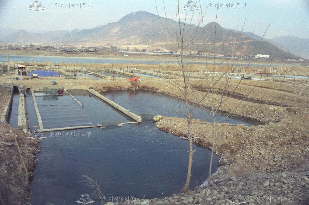 동면 지내리 양어장 이미지
